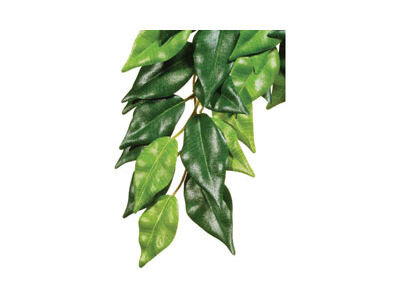 EXO Terra Silk Ficus Plant Large