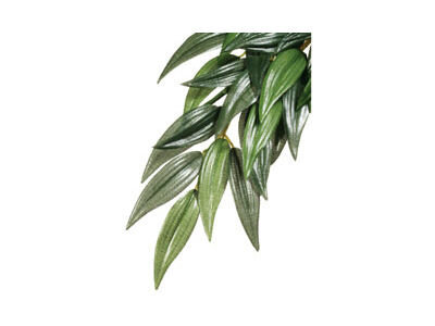 EXO Terra Silk Rucus Plant Large