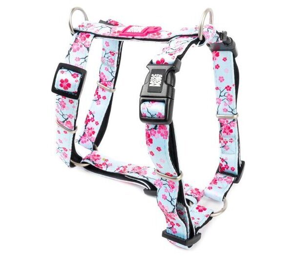 M & M Cherry Blossom H Harness Med