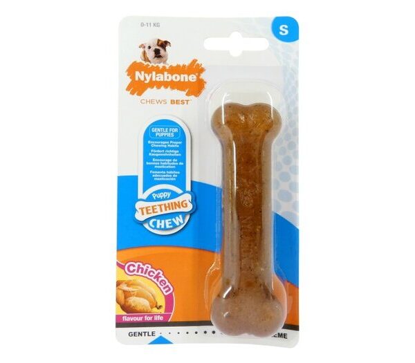Nylabone Puppy Chicken Regular Sm