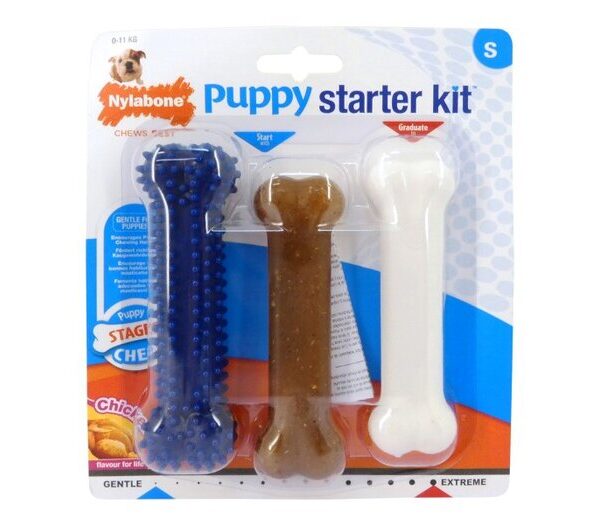 Nylabone Puppy Starter Kit Small