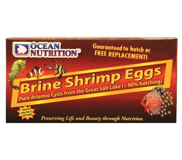 O Nut Artemia Brine Shrimp Eggs