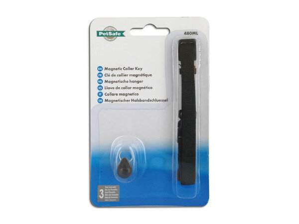 Staywell Magnetic Cat Collar Key