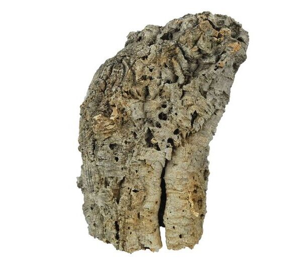 PR Cork Bark Medium Tube Short