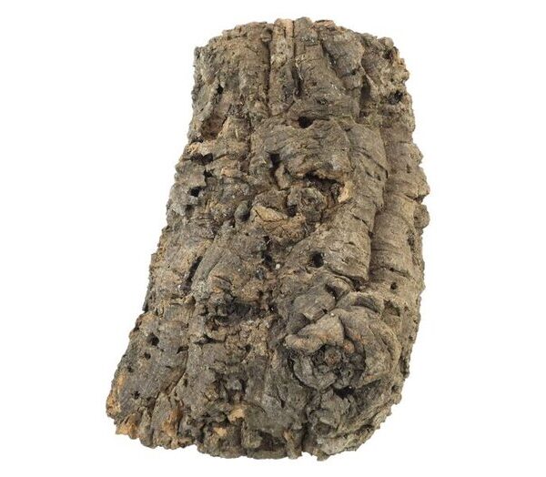 PR Cork Bark Large Tube Short
