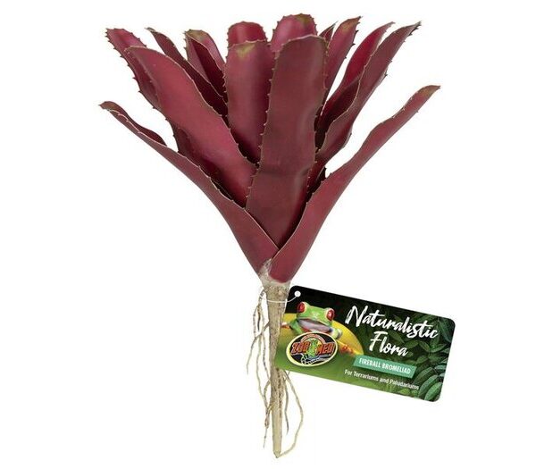 ZM Naturalistic Flora Fireball Bromeliad