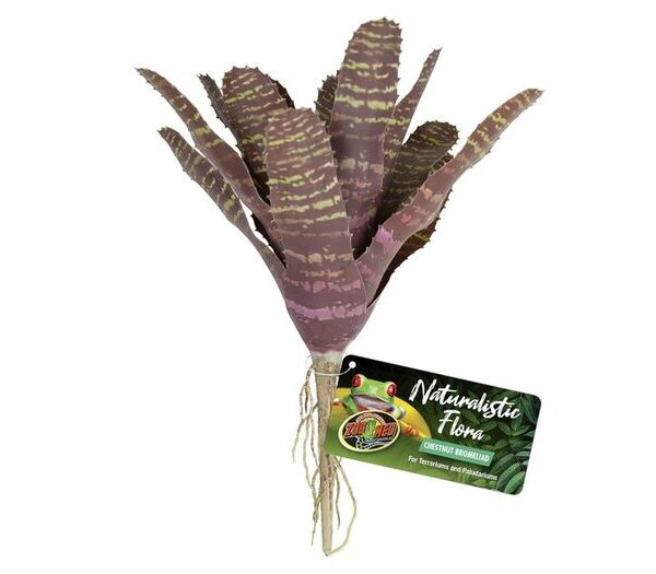 ZM Naturalistic Flora Chestnut Bromeliad