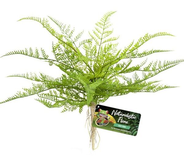 ZM Naturalistic Flora Lace Fern