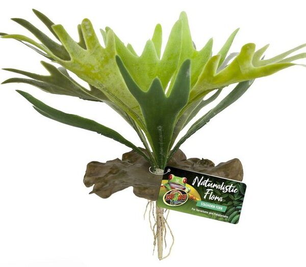 ZM Naturalistic Flora Staghorn Fern