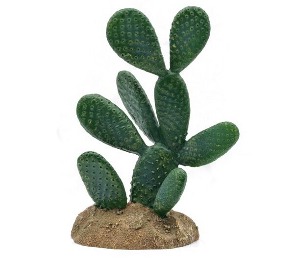 PR Optunia Cactus 13x9x19.5cm