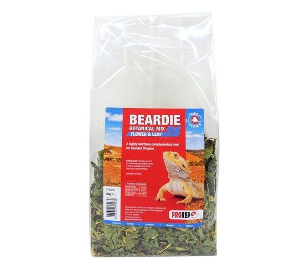 PR Bearded Dragon Botanical Mix 80g