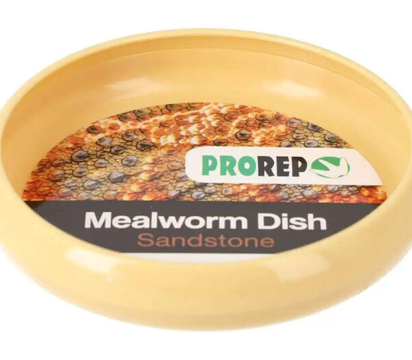 PR Mealworm Dish Sandstone 75mm