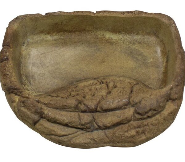 PR Tortoise Pool Small