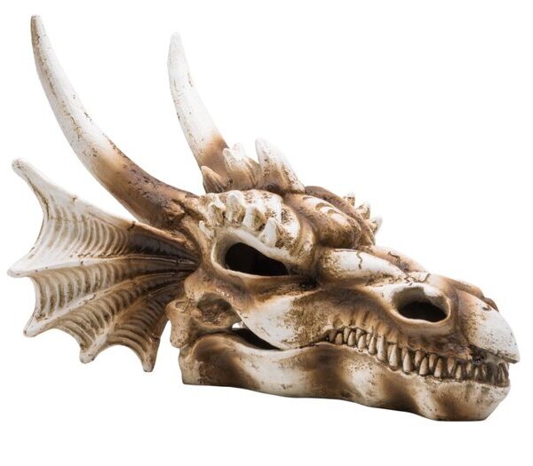 PR Dragon Skull Large 28.5x21.5x19.5cm