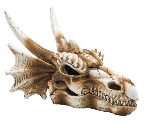 PR Dragon Skull Medium 19.5x14.8x13.5cm