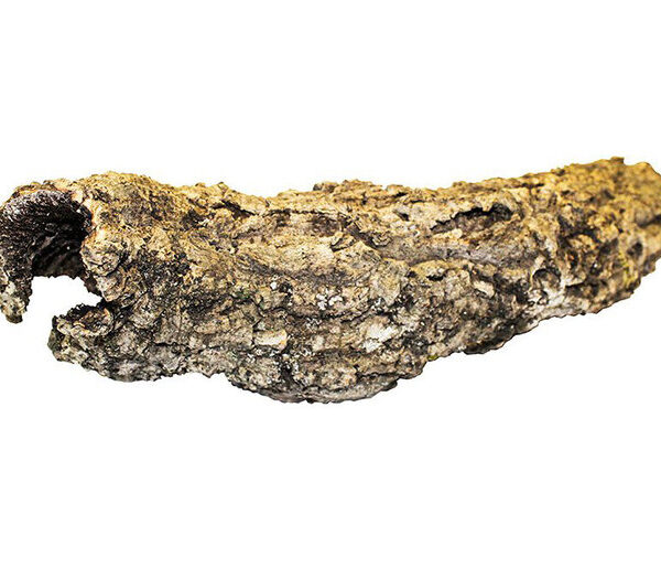 PR Cork Bark Small Tube Short