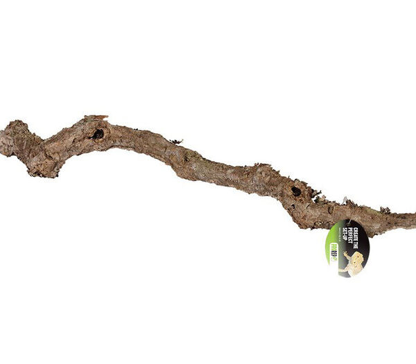 PR Cork Oak Branch 40-60cm