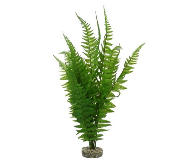 Sydeco Terra Fern 46cm