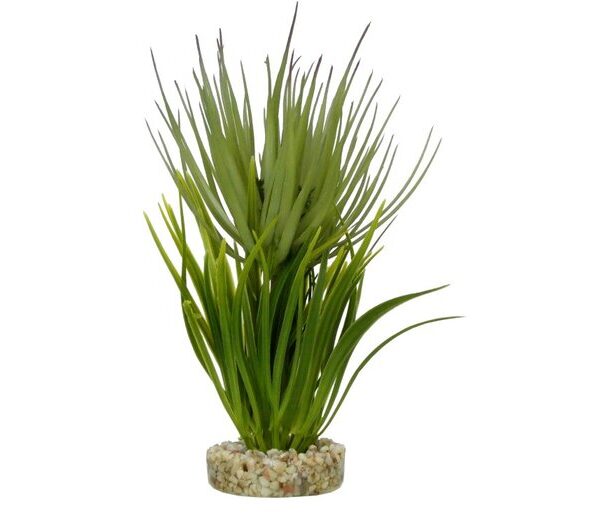 Sydeco Terra Grass Plant 23cm