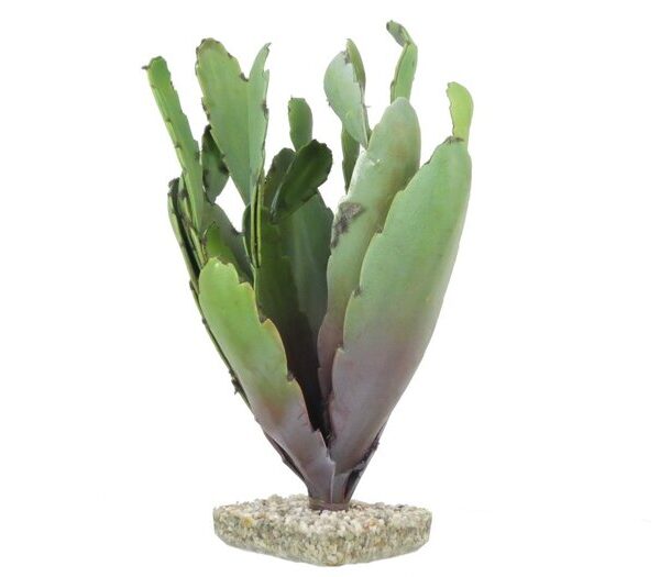 Sydeco Terra Cactus 31cm