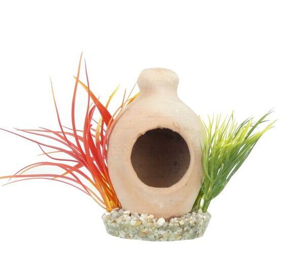 Sydeco Nest Plant 15cm