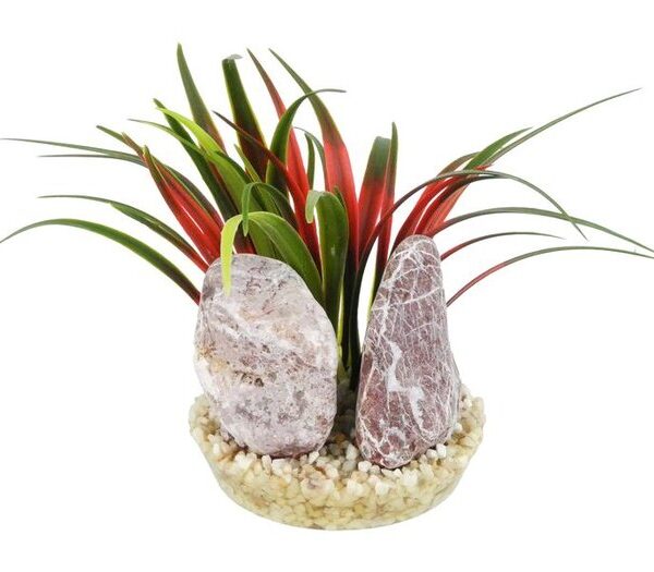 Sydeco Zebra Stone Bamboo 15cm