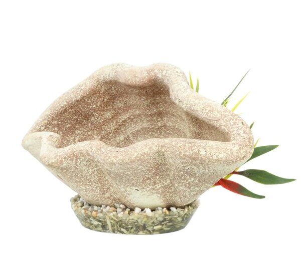 Sydeco Marine Shelter Plants 16cm