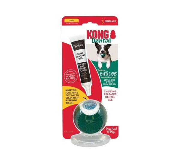KONG Enticer Dental Ball Kit Sm Dog Beef