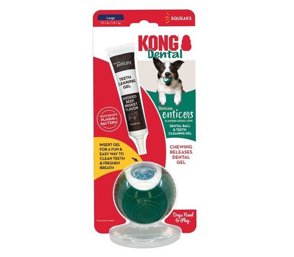 KONG Enticer Dental Ball Kit Lg Dog Beef