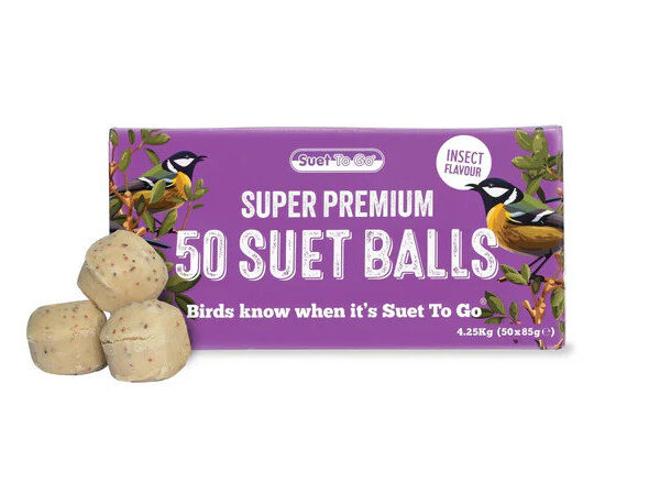 Suet Insect Refill Box 50pc
